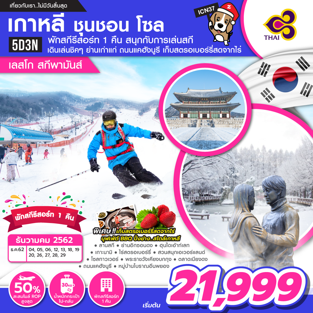 ทัวร์เกาหลี ชุนชอน โซล เลสโก สกีพามันส์ 5วัน 3คืน (พักสกีรีสอรืท1คืน)(DEC19)ZICN37